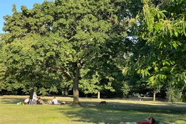 Theo các nhà vận động bảo vệ sức khỏe cộng đồng, các chính quyền địa phương tại Anh hiện vẫn đang sử dụng hàng nghìn lít thuốc diệt cỏ chứa glyphosate tại các không gian xanh công cộng. (Ảnh minh họa: Minh Hợp/TTXVN)