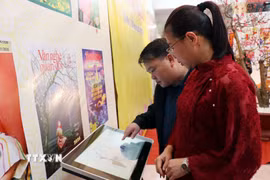 Độc gia tra cứu và xem tư liệu về sách, báo đã được số hóa. (Ảnh minh họa: Trần Trang/TTXVN)