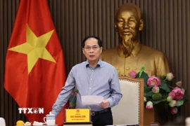 Phó Thủ tướng, Bộ trưởng Bộ Ngoại giao Bùi Thanh Sơn, Trưởng Ban Chỉ đạo quốc gia về ODA và vốn vay ưu đãi phát biểu. (Ảnh: An Đăng/TTXVN)