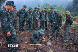 Các thành viên Đội tìm kiếm, quy tập hài cốt liệt sĩ sử dụng máy dò mìn để đảm bảo khu vực tìm kiếm "sạch" trước khi tiến hành tìm kiếm. (Ảnh: Hoàng Hiếu/ TTXVN)
