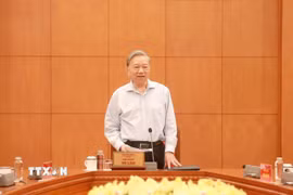Tổng Bí thư Tô Lâm phát biểu tại cuộc làm việc. (Ảnh: TTXVN phát)