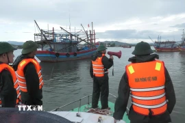 Bộ đội Biên phòng các đồn, trạm tại tỉnh Quảng Trị sắp xếp, kêu gọi tàu thuyền vào bờ tránh, trú bão. (Ảnh: TTXVN phát)