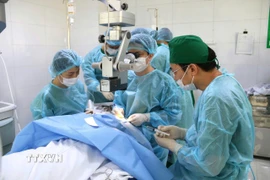 Ca phẫu thuật được thực hiện bởi các bác sỹ đầu ngành nhãn khoa của Bệnh viện Mắt Trung ương, Bệnh viện Mắt Hải Phòng và êkíp gây mê của Bệnh viện Hữu nghị Việt Tiệp cùng tổ chuyên gia hỗ trợ. (Ảnh: TTXVN phát)