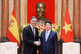 Chủ tịch nước Lương Cường tiếp Thủ tướng Tây Ban Nha Pedro Sánchez. (Ảnh: Lâm Khánh/TTXVN)