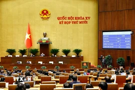 Quốc hội biểu quyết thông qua Luật sửa đổi, bổ sung một số điều của Luật Lý lịch tư pháp. (Ảnh: Doãn Tấn/TTXVN)