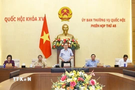 Chủ tịch Quốc hội Trần Thanh Mẫn phát biểu bế mạc Phiên họp thứ 48 của Ủy ban Thường vụ Quốc hội. (Ảnh: Doãn Tấn/TTXVN)