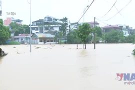 Ứng phó với lũ đặc biệt lớn trên sông Cầu, sông Thương, sông Lục Nam