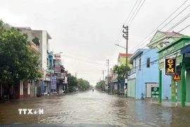 Một số tuyến đường xã Hải Thịnh (Ninh Bình) đã bị ngập. (Ảnh: Thái Thuần/TTXVN)