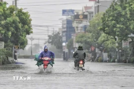 Một số tuyến đường xã Hải Hậu (Ninh Bình) bị ngập cục bộ.(Ảnh: Thái Thuần/TTXVN)