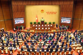 Các đại biểu Quốc hội thực hiện nghi lễ chào cờ. (Ảnh: Phạm Kiên/TTXVN)