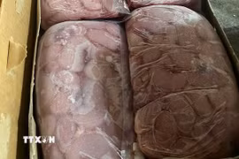 (Ảnh minh họa: TTXVN phát)