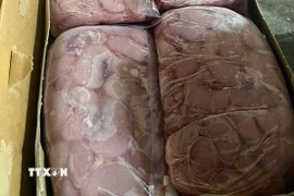 (Ảnh minh họa: TTXVN phát)