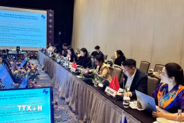 Đoàn Việt Nam tại hội nghị. (Ảnh: Đỗ Quyên/TTXVN)