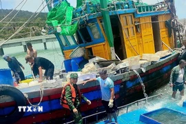 Tàu cá HP-90671-TS được lai dắt vào bờ sửa chữa và 6 ngư dân đều an toàn, sức khỏe ổn định. (Ảnh: TTXVN phát)