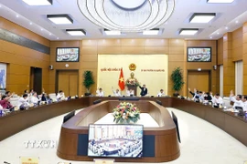 Ủy ban Thường vụ Quốc hội biểu quyết. (Ảnh: Doãn Tấn/TTXVN)