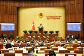 Quốc hội biểu quyết thông qua Nghị quyết của Quốc hội về Chương trình giám sát của Quốc hội năm 2026. (Ảnh: Doãn Tấn/TTXVN)