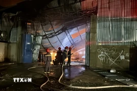 (Ảnh minh họa: Lê Xuân/TTXVN)