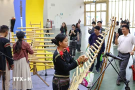 Người dân và du khách cùng hòa mình vào âm thanh các nhạc cụ truyền thống của đồng bào Tây Nguyên. (Ảnh: Thanh Tùng/TTXVN)