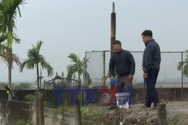 Làng cá chép đỏ Ninh Châu hối hả chuẩn bị ngày 23 tháng Chạp