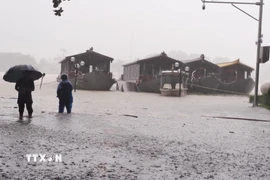 Lũ lên trên báo động 2 gây ngập ven bờ Nam sông Hương, thành phố Huế hồi cuối tháng 10. (Ảnh: Nguyên Lý/TTXVN)