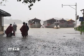 Lũ lên trên báo động 2 gây ngập ven bờ Nam sông Hương, thành phố Huế. (Ảnh: Nguyên Lý/TTXVN)