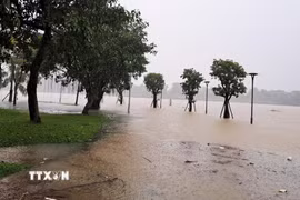 Mùa bão 2026 trên khu vực Biển Đông có khả năng xuất hiện như các năm, vào khoảng tháng Sáu. (Ảnh: Nguyên Lý/TTXVN)