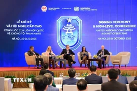 Các đại biểu thảo luận tại Hội thảo cấp cao "Thúc đẩy hợp tác quốc tế trong phòng, chống tội phạm mạng: Cách tiếp cận quốc gia khi thực hiện Công ước". (Ảnh: Tuấn Anh/TTXVN)