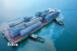 Công ty Doosan Enerbility Việt Nam (Doosan Vina) xuất khẩu gần 2.000 tấn Module “Made in Vietnam” đến Nhà máy Golden Triangle Polymers đặt tại bang Texas, Hoa Kỳ sau hơn 10 tháng sản xuất (Quảng Ngãi, 3/2024). (Ảnh: TTXVN phát)