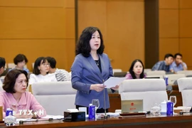 Bộ trưởng Bộ Y tế Đào Hồng Lan thuyết trình về nội dung cơ bản của dự thảo dự án Luật Phòng bệnh. (Ảnh: Doãn Tấn/TTXVN)