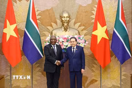 Chủ tịch Quốc hội Trần Thanh Mẫn hội kiến Tổng thống Cộng hòa Nam Phi Matamela Cyril Ramaphosa thăm cấp nhà nước đến Việt Nam.(Ảnh: Doãn Tấn/TTXVN)