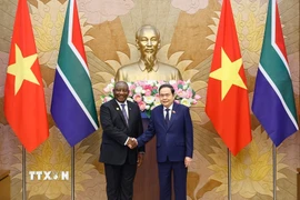 Chủ tịch Quốc hội Trần Thanh Mẫn hội kiến Tổng thống Cộng hòa Nam Phi Matamela Cyril Ramaphosa thăm cấp nhà nước đến Việt Nam.(Ảnh: Doãn Tấn/TTXVN)