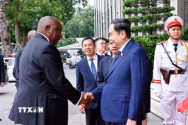 Chủ tịch Quốc hội Trần Thanh Mẫn đón Tổng thống Cộng hòa Nam Phi Matamela Cyril Ramaphosa thăm cấp nhà nước đến Việt Nam. (Ảnh: Doãn Tấn/TTXVN)