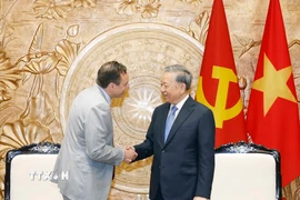 Tổng Bí thư Tô Lâm tiếp ông Scott Strazik, Chủ tịch kiêm Tổng Giám đốc điều hành Tập đoàn GE Vernova. (Ảnh: Thống Nhất/TTXVN)