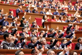 Đại hội biểu quyết thông qua dự thảo điều chỉnh chương trình Đại hội. (Ảnh: TTXVN)