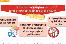 Vì sao dầu ăn chăn nuôi gây nguy hại đến sức khỏe con người?