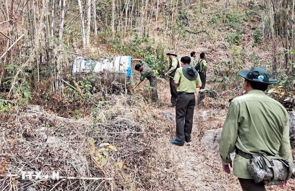 ttxvn-kiem-lam-an-giang.jpg