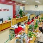 Agribank dành 60.000 tỷ đồng cho doanh nghiệp vay ưu đãi đầu tư hạ tầng, công nghệ số. (Ảnh: Vietnam+)