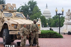 Ảnh minh họa. (Ảnh: THX/TTXVN)