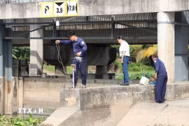 Công tác kiểm tra độ mặn trước cống Mười Nén (huyện Cai Lậy). (Ảnh: Minh Trí/TTXVN)