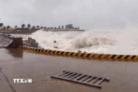 Ảnh minh họa. (Ảnh: Phạm Cường/TTXVN)