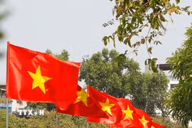 50 năm thống nhất đất nước: Thành phố Hồ Chí Minh tràn ngập cờ hoa rực rỡ