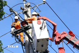 Ảnh minh họa. (Ảnh: Huy Hùng/TTXVN) 