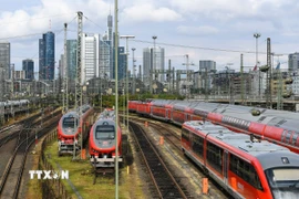 Ảnh minh họa. (Ảnh: THX/TTXVN) 