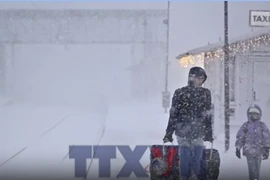 Hàng không châu Âu gián đoạn do bão 