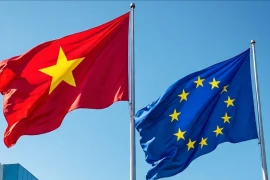 Quan hệ Việt Nam -EU đã và đang có những bước phát triển tích cực trên tất cả các lĩnh vực sau 35 năm thiết lập quan hệ ngoại giao. (Ảnh: Vietnam+)