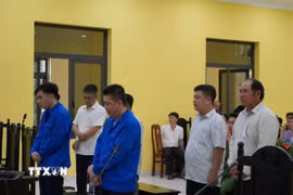 Các bị cáo tại phiên tòa. (Ảnh: TTXVN phát)