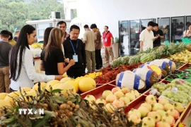 Nhiều loại hoa quả của Việt Nam như sầu riêng, chanh leo…, được bày bán tại khu vực cửa khẩu Hữu Nghị Quan (Trung Quốc). (Ảnh: Quang Hưng/TTXVN)