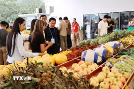 Nhiều loại hoa quả của Việt Nam như sầu riêng, chanh leo…, được bày bán tại khu vực cửa khẩu Hữu Nghị Quan (Trung Quốc). (Ảnh: Quang Hưng/TTXVN)