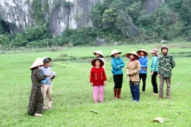 Người dân tại xã Tiến Hóa, huyện Tuyên Hóa, Quảng Bình vẫn chờ đợi tiền đền bù sau 19 năm thu hồi đất. (Ảnh: TTXVN)