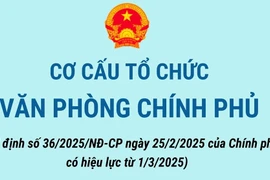 Thông tin bạn cần biết về cơ cấu tổ chức của Văn phòng Chính phủ